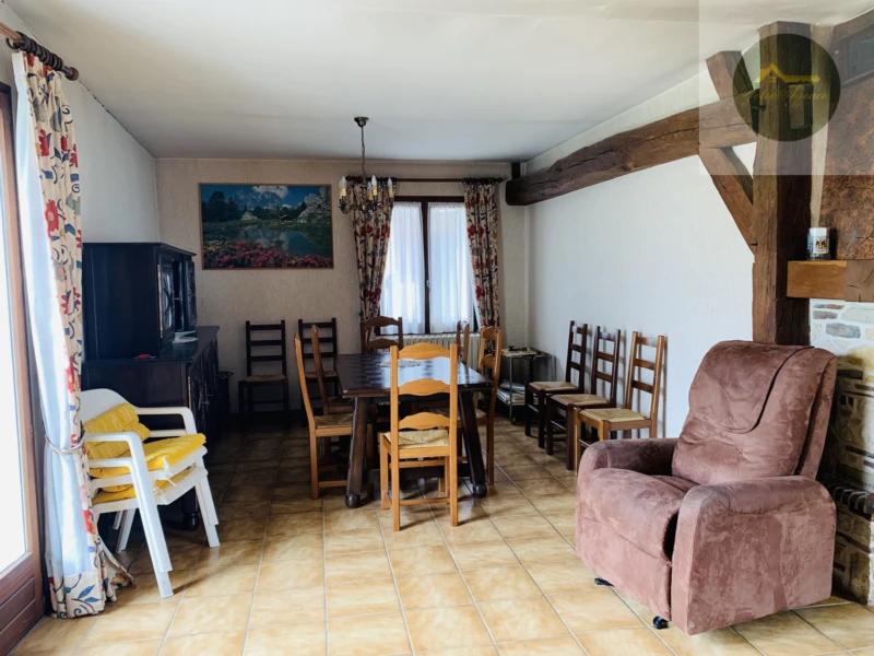 séjour salon avec cheminée insert
