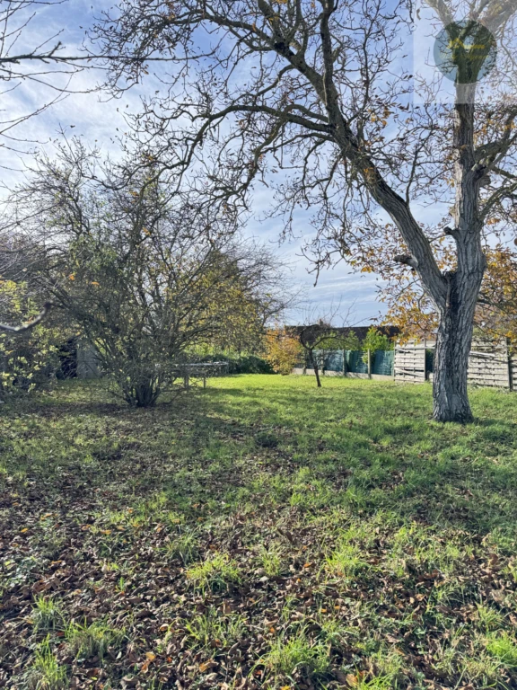 joli terrain avec arbres fruitiers