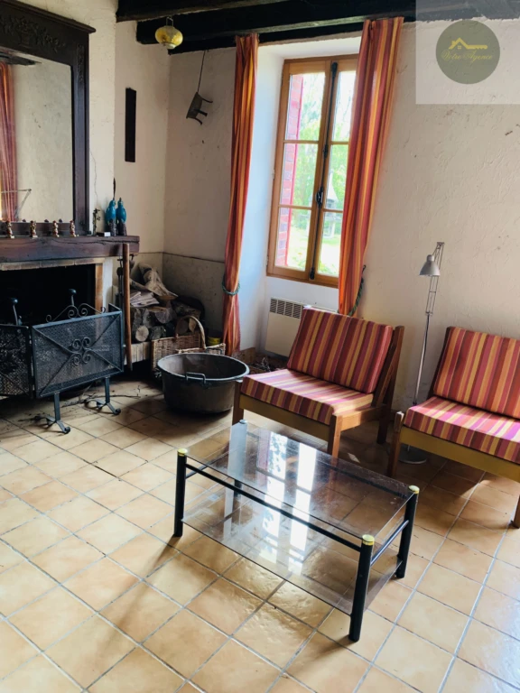 séjour avec cheminée