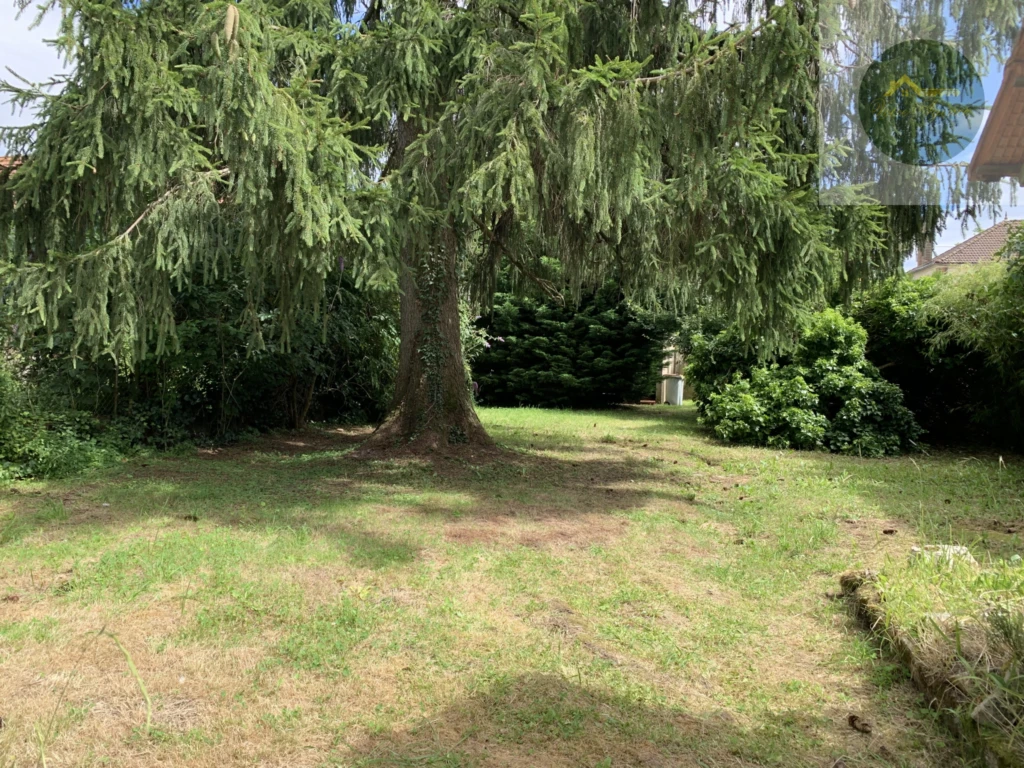 terrain arboré de 504 m2