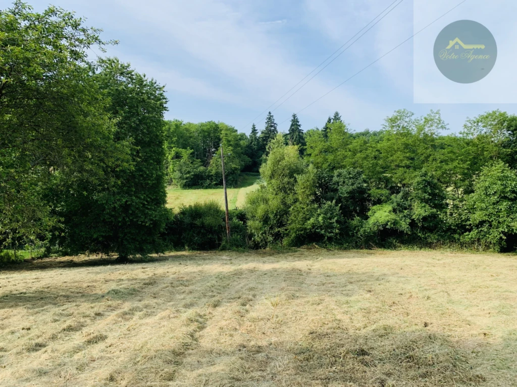 terrain clos et arboré
