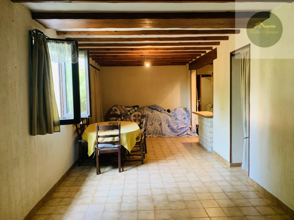 salon séjour avec cheminée insert