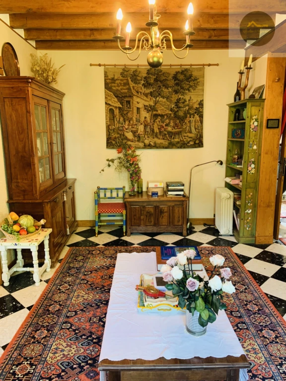 salon séjour avec cheminée