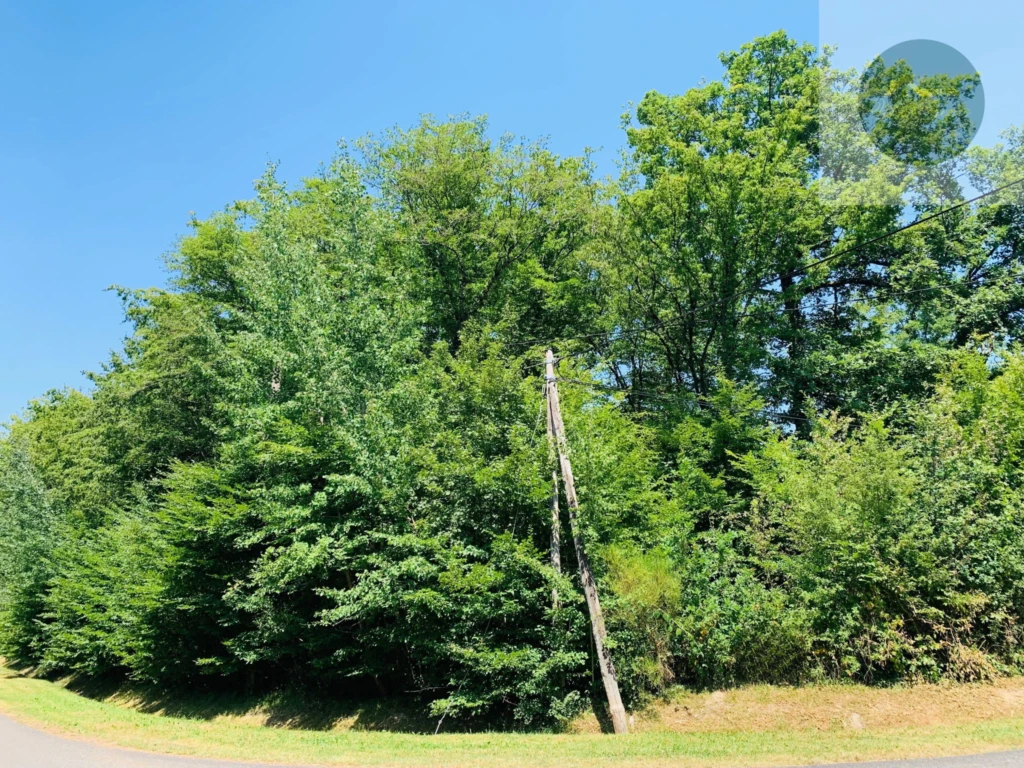terrain constructible