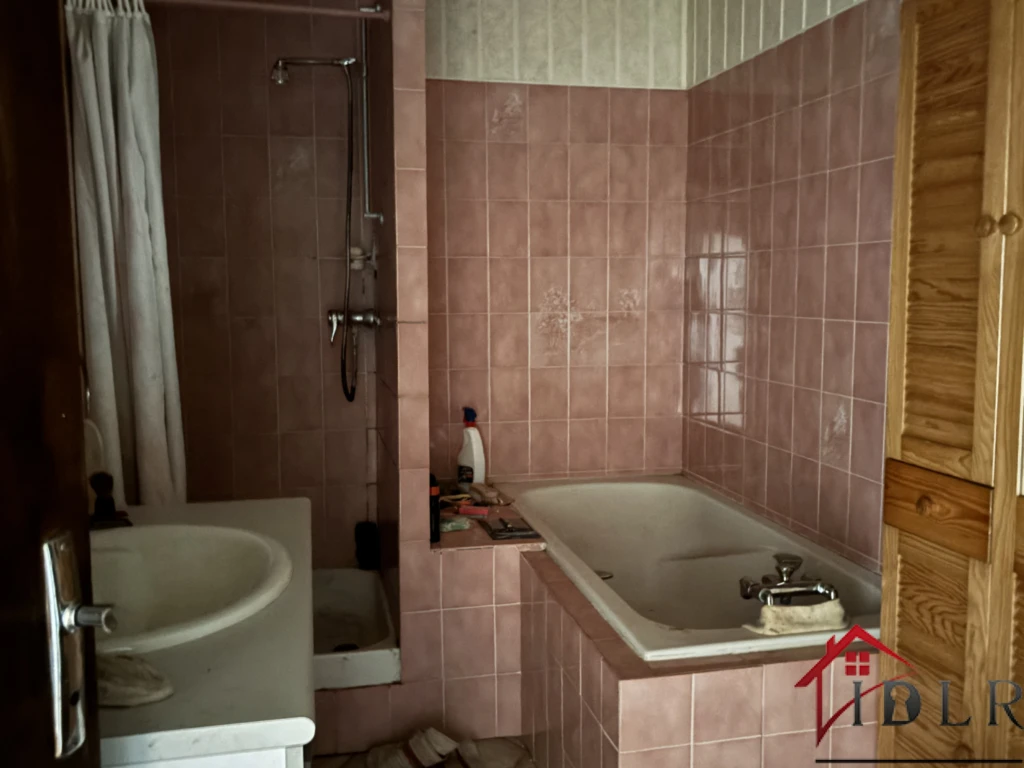 salle de bains avec douche et toilette