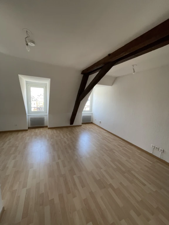 2 PIECES dernier étage à vendre à STRASBOURG CENTRE PROX. TRIBUNAL