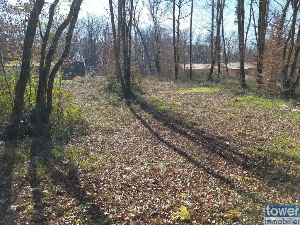 Terrain boisé de 869 m2 à Pranzac - Vue depuis le fond de la parcelle en direction de son entrée
