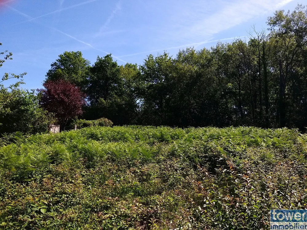 Terrain constructible à Sers