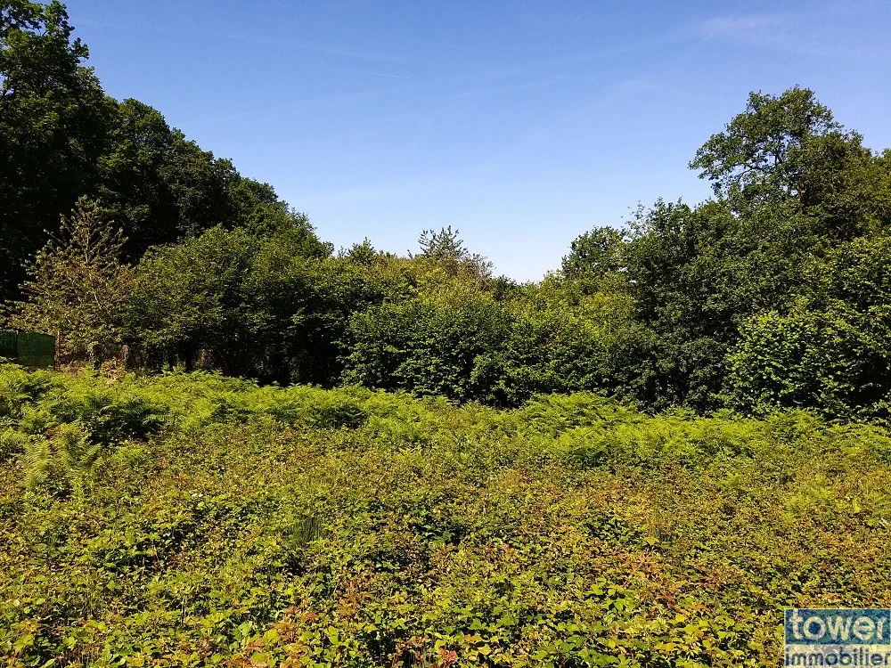 Terrain à construire à Sers vu depuis son entrée
