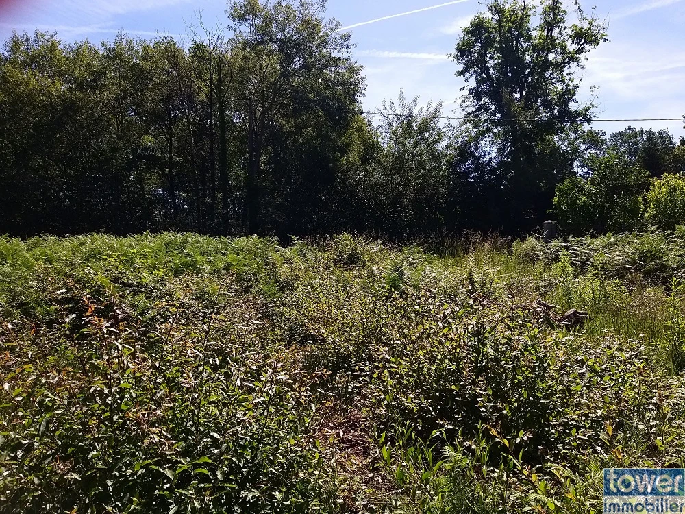 Terrain à construire à Sers - Photo prise au milieu