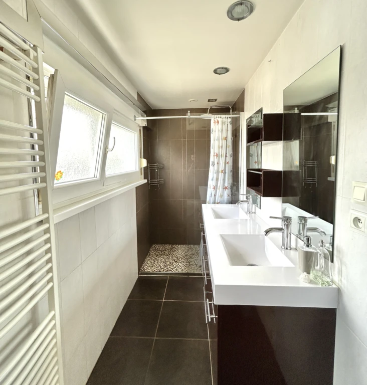 salle d'eau douche