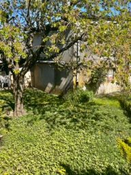 jardin arrière vue sur garage