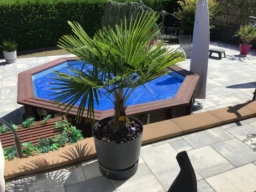 Piscine hors sol profondeur 1,40 m