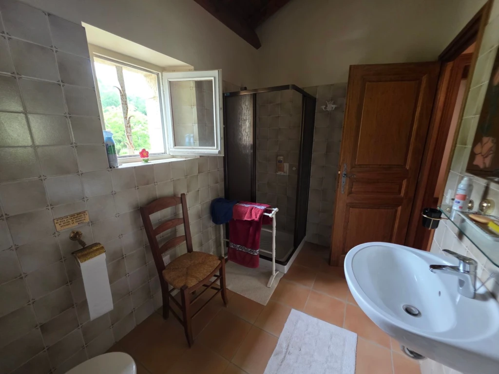 Maison_en_pierre_Prayssac46220_4455m²_terrain_4400m²_4chambres_piscine_garages_annexes_dépendances_immoprolink_agence_immobiliere (108)