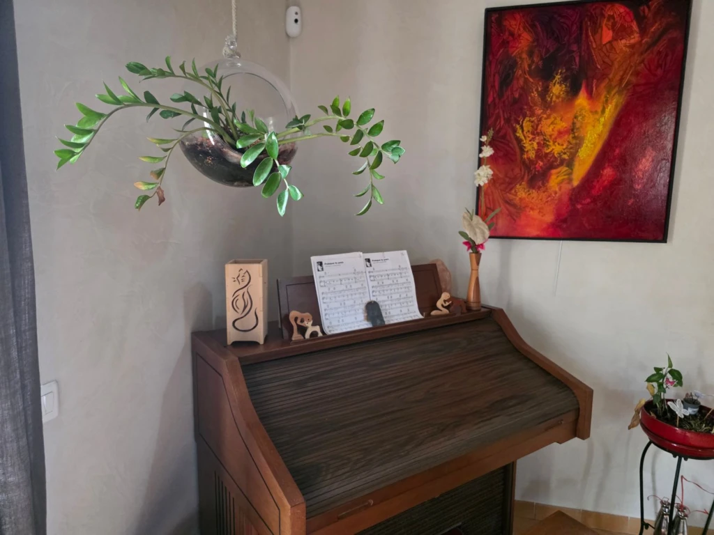 Maison_en_pierre_Prayssac46220_4455m²_terrain_4400m²_4chambres_piscine_garages_annexes_dépendances_immoprolink_agence_immobiliere (256)