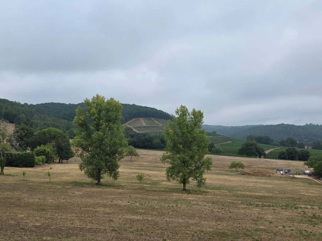 Maison_en_pierre_Prayssac46220_4455m²_terrain_4400m²_4chambres_piscine_garages_annexes_dépendances_immoprolink_agence_immobiliere (117)