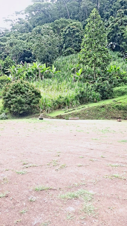 plateau