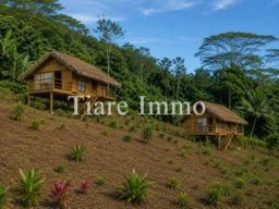 Vente Uniquement du Terrain Nu