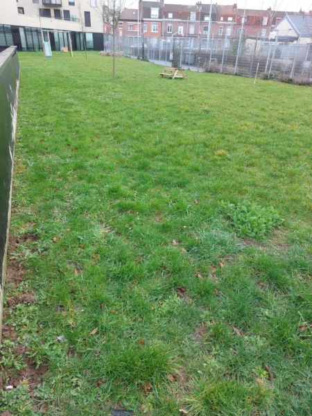 Espace vert détente