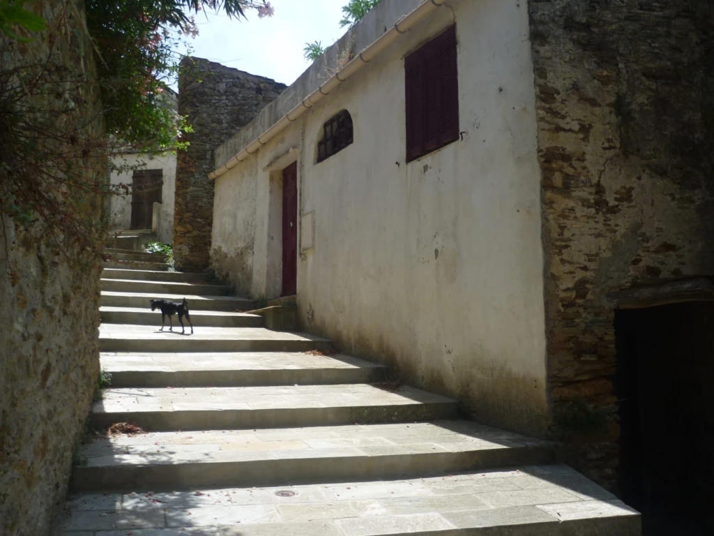 entrée coté sud