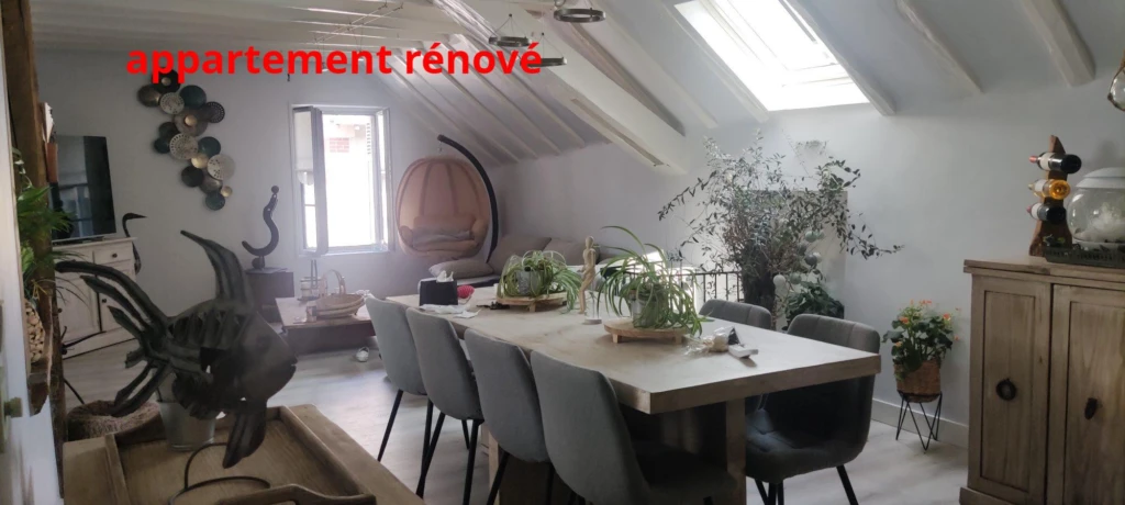 Séjour Appartement rénové