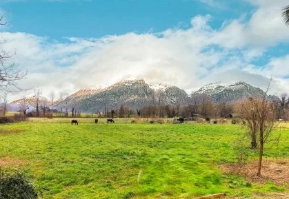 Terrain 7000 m² avec vue Pyrénées