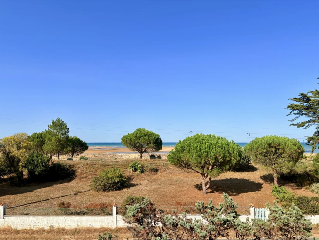 vue depuis la maison