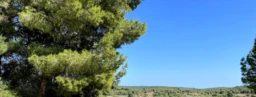 Villa 220 m² 4 chambres piscine