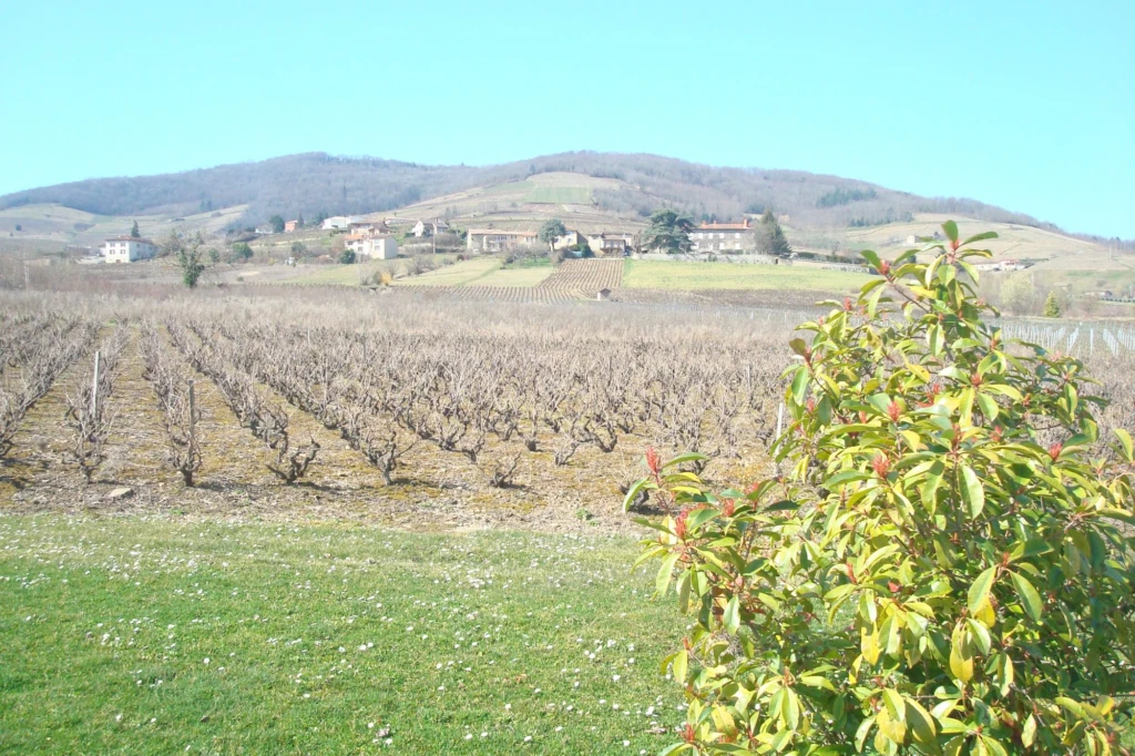 Pour les amoureux du Beaujolais