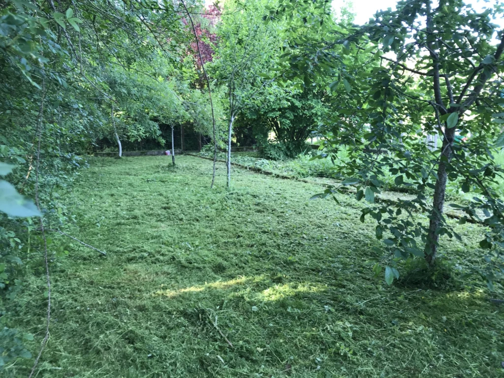 potager -verger