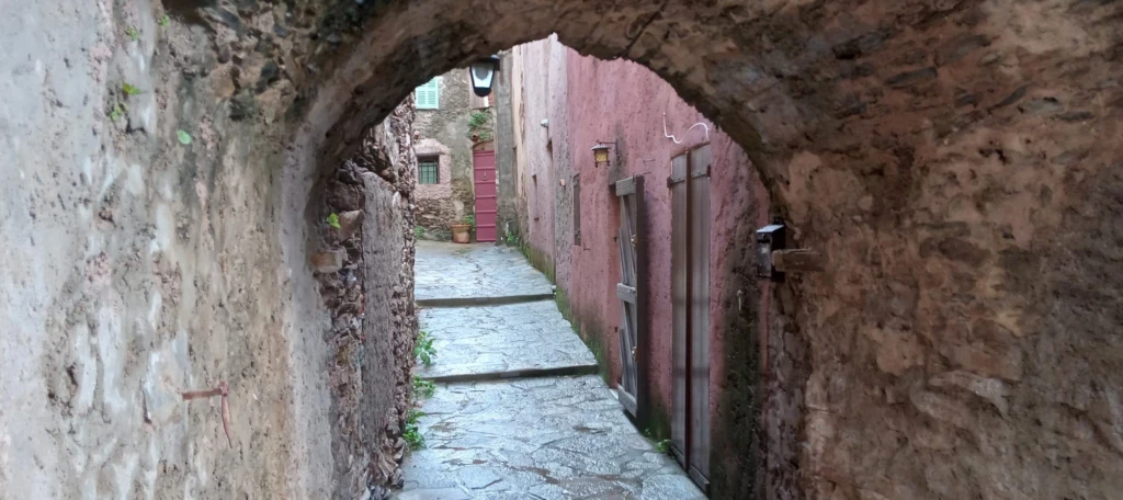 ruelle