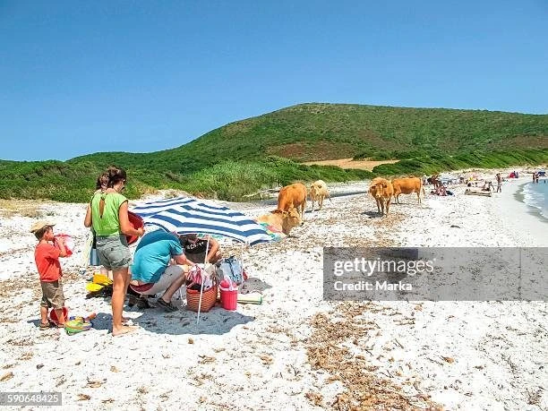 plage et partage