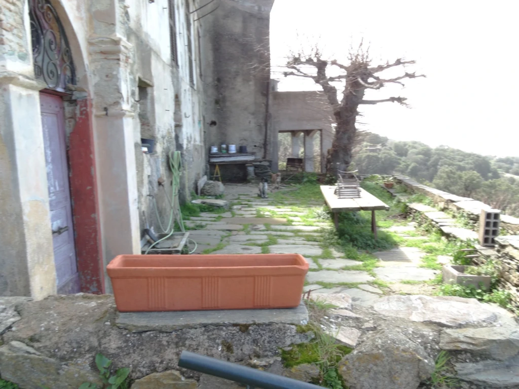 jardin en faces des caves