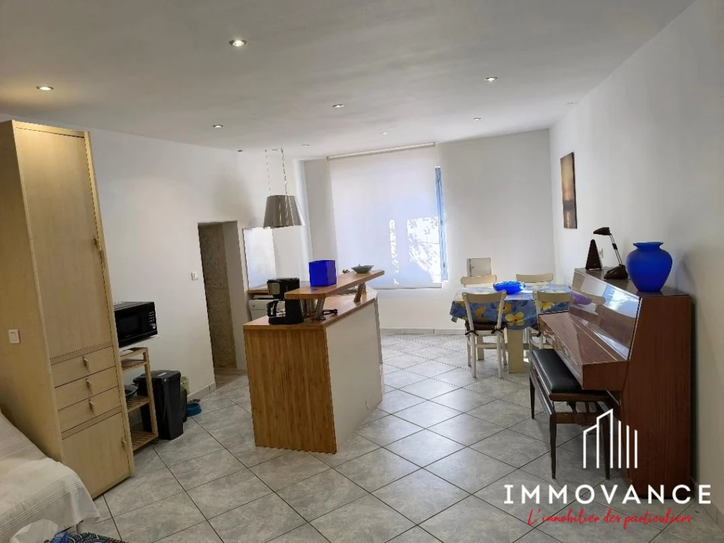 L'appartement, son salon avec son coin cuisine