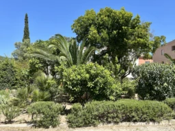 RESIDENCE INTIMISTE ET ARBOREE