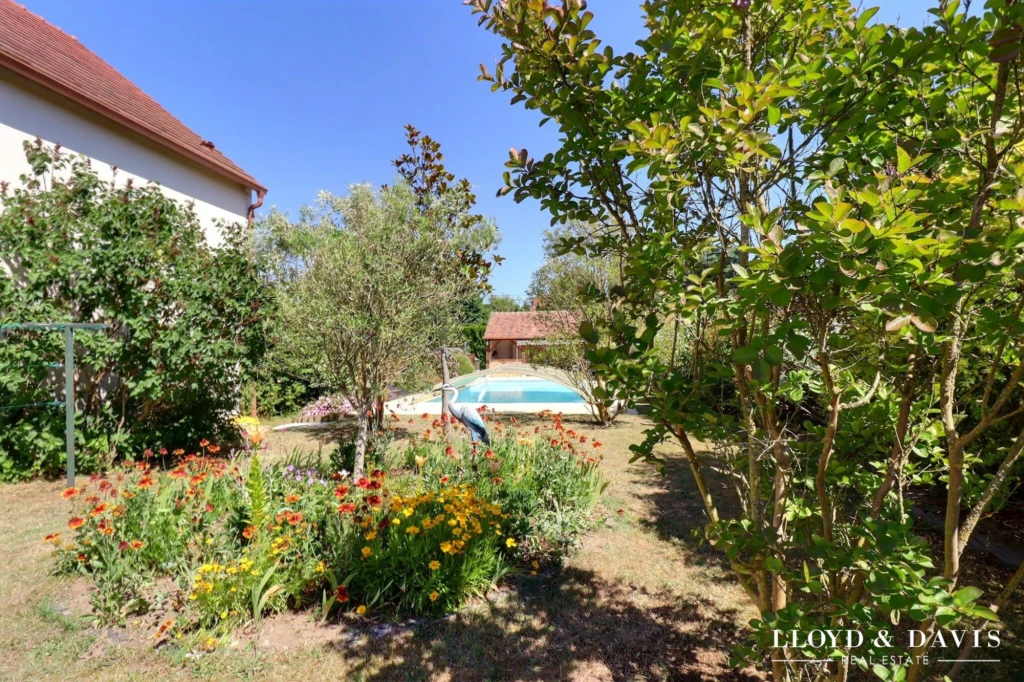 jardin avec piscine