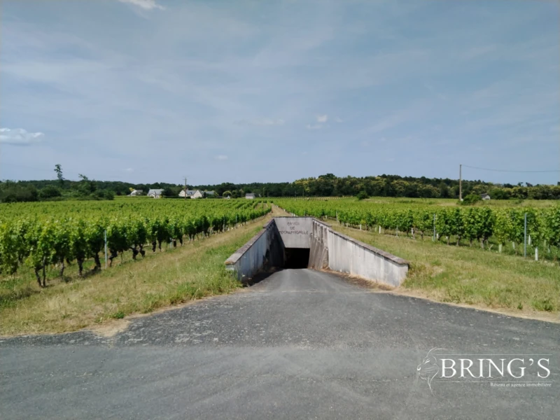 Entrée caves