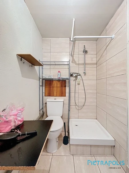 Salle d'eau + WC