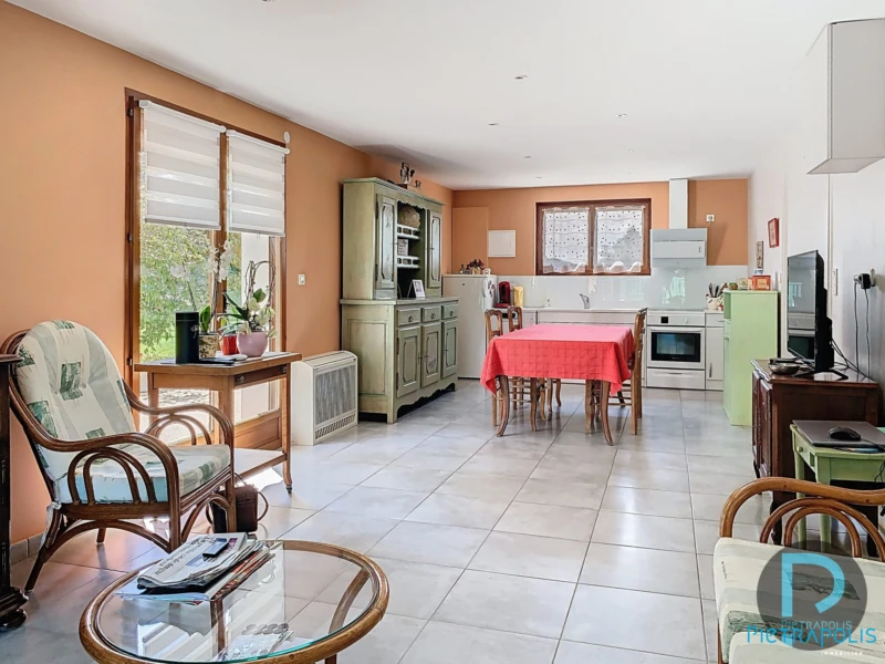 a vendre maison Vandeins - cuisine d ete equipee