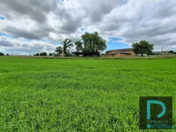 TERRAIN attenant de 8330 m²