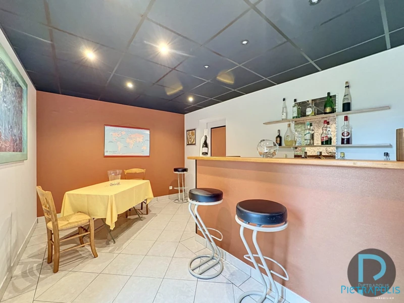 maison à vendre MONTRACOL - bar