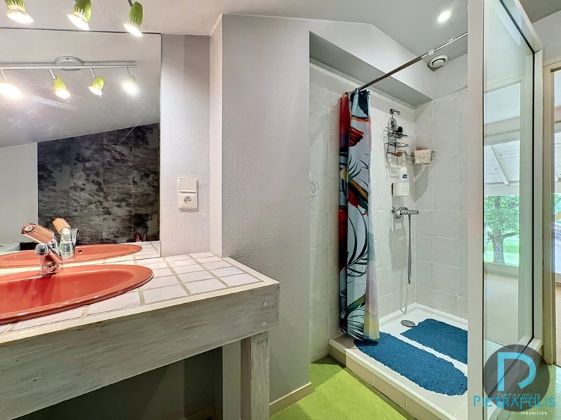 maison à vendre MONTRACOL - salle d'eau
