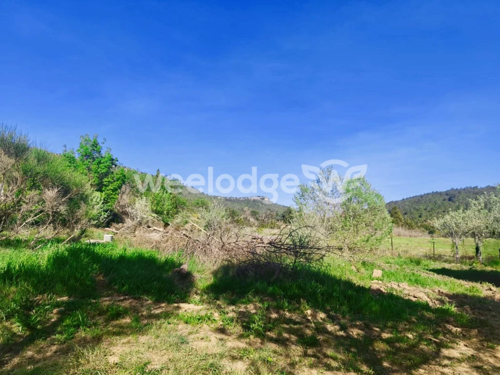 Terrain Albas vue 1