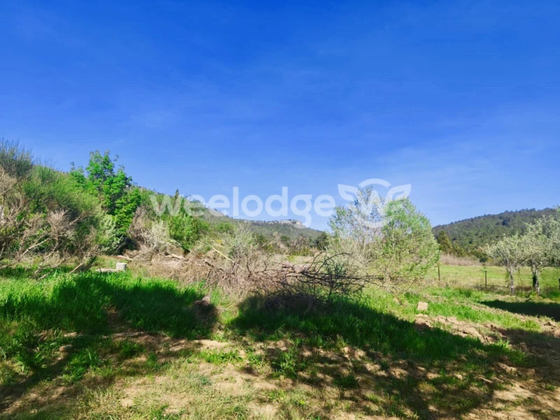 Terrain Albas vue 1