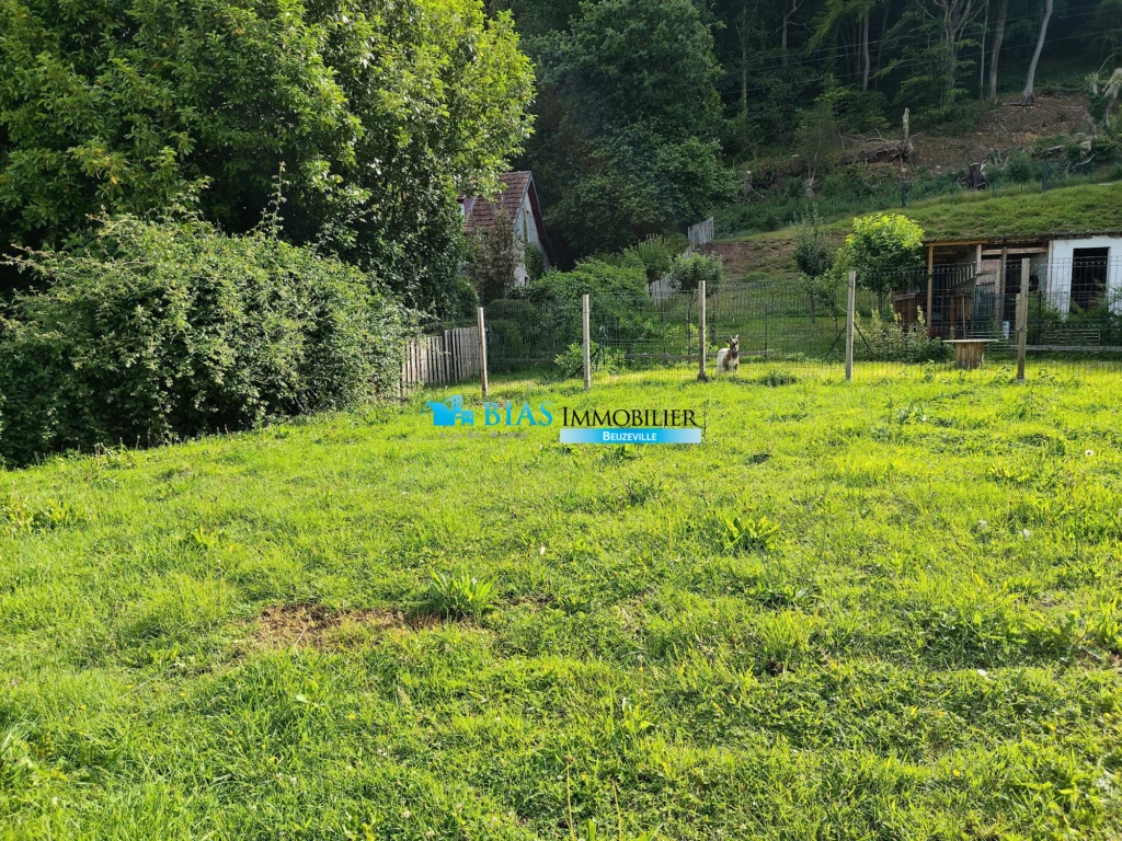jardin arriere