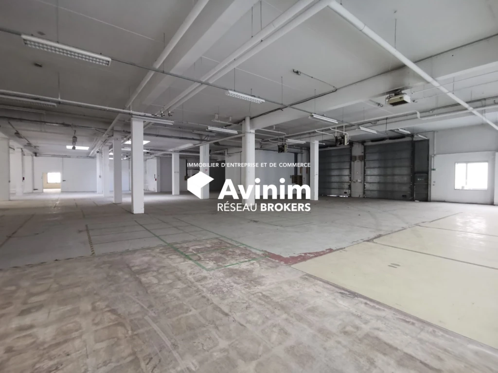 LOT 570m²