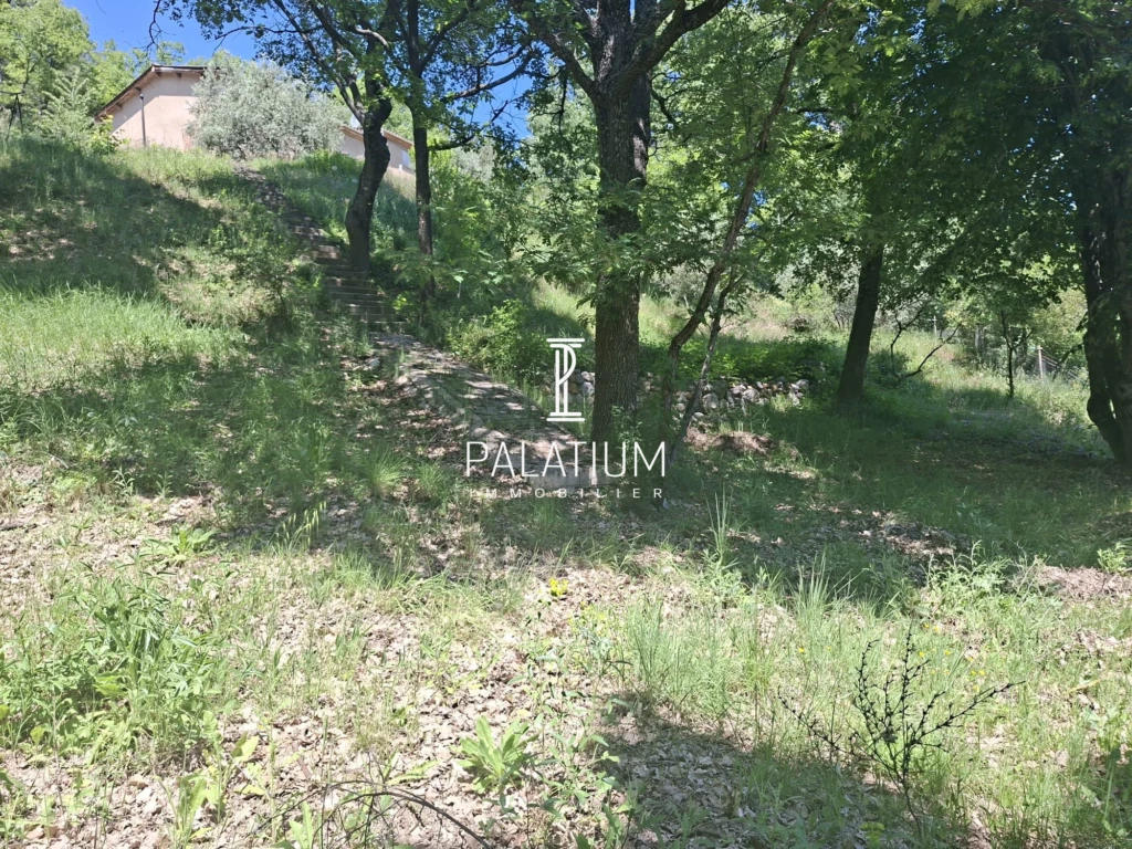 terrain