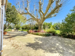 A vendre, à acheter Mas Provençal 84300 Cavaillon