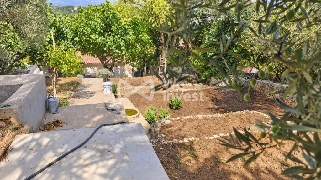Jardin avec potager et piscinable