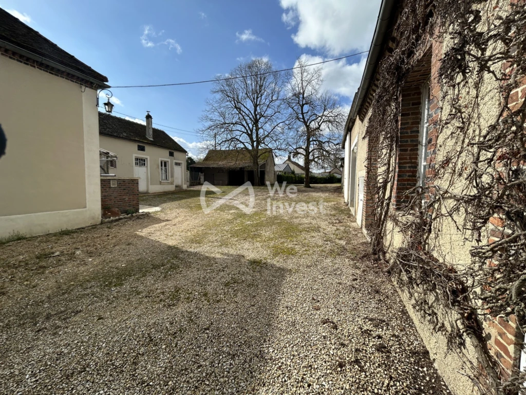 La cour